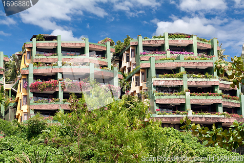 Image of A cozy hotel in the jungle