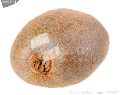 Image of Fresh full fruit of kiwi