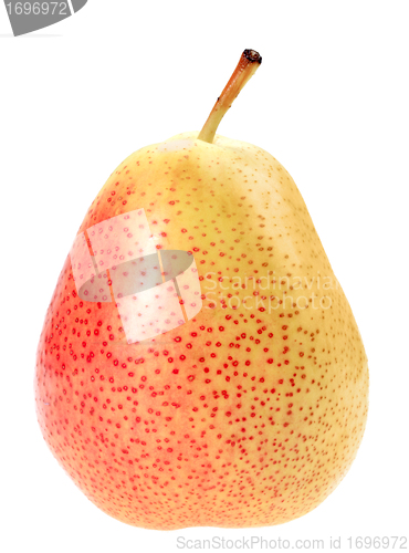 Image of Single a orange fresh pear