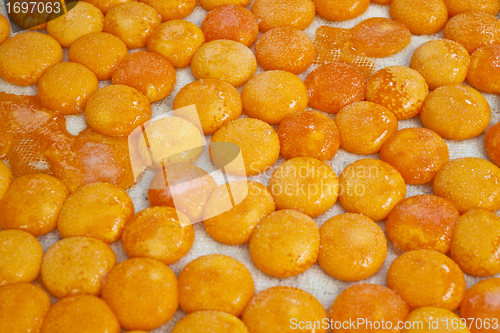 Image of Salted egg yolk in fishing village, Hong Kong