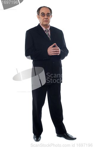 Image of Full length view of elder businessman posing