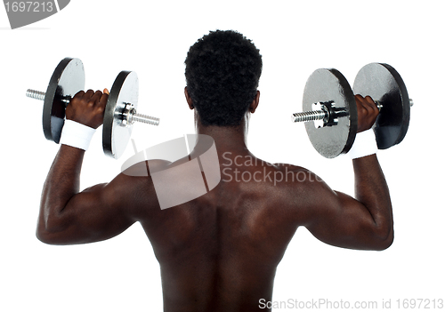 Image of Rear view of a young male bodybuilder
