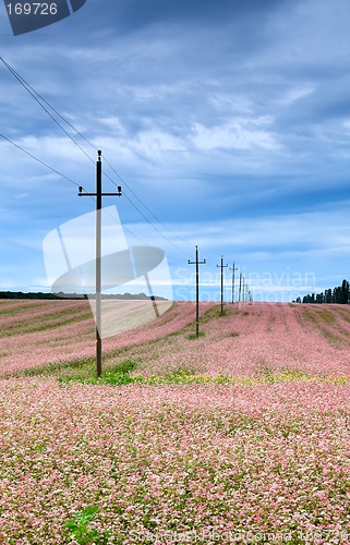 Image of Power line