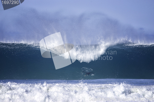 Image of big waves at bondi beach