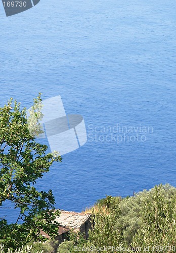 Image of Abandoned Hut