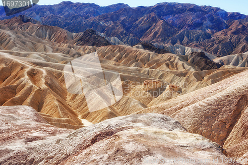 Image of death valley zabrinski point