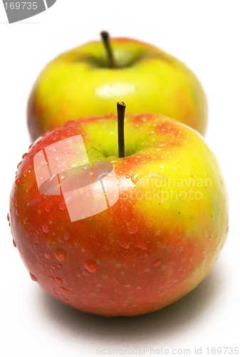 Image of Two Colorful Apples w/ Waterdrops