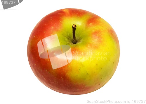 Image of Red Yellow Apple w/ Path (Angle View)