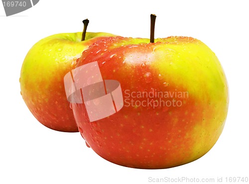 Image of Two Red-Yellow Apples w/ Raindrops (Path Included)