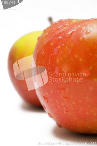 Image of Two Red-Yellow Apples w/ Raindrops (Close View)