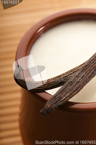 Image of Sweet vanilla pudding dessert 