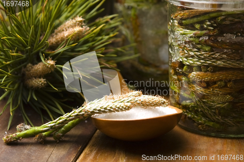 Image of Natural medicine - syrup made of pine sprouts 