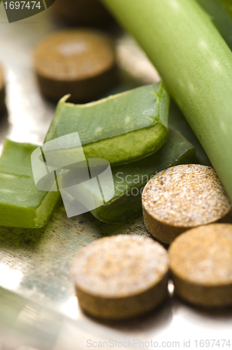 Image of aloe vera plant with pills - herbal medicine