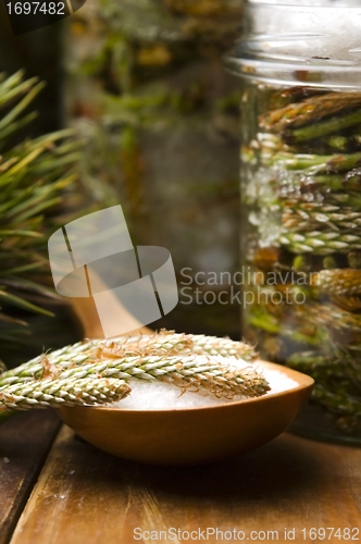 Image of Natural medicine - syrup made of pine sprouts 