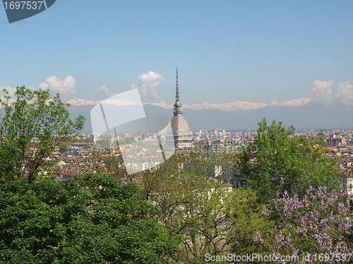 Image of Turin view