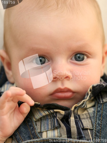Image of Baby