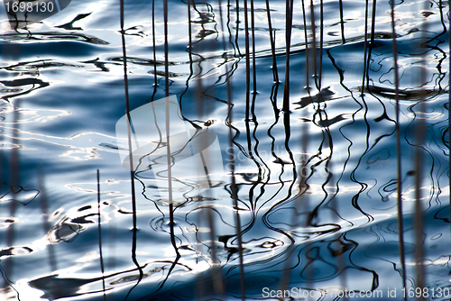 Image of Water reflections