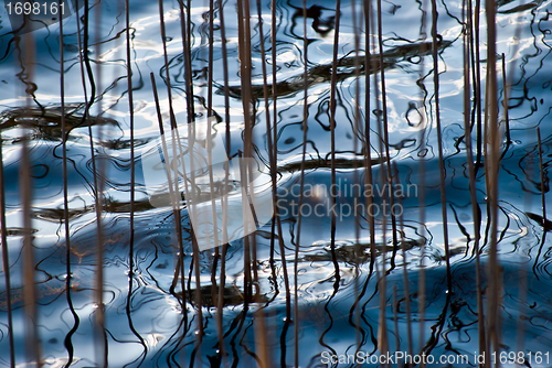 Image of Water reflections