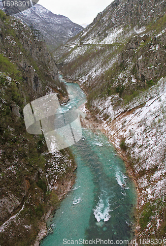 Image of Tara river