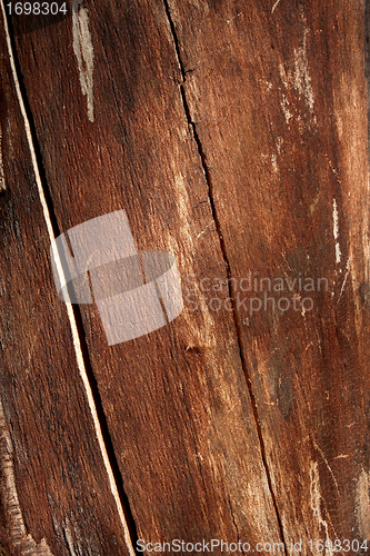 Image of Detail of dried bare logs