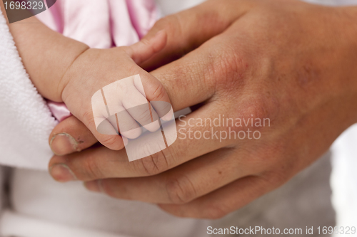 Image of Baby Girl Hand Holding Rough Finger of Dad