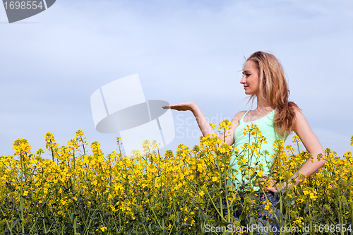 Image of beautiful blonde girl in a field in summer 