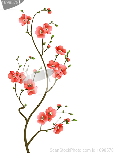 Image of cherry blossom branch abstract background
