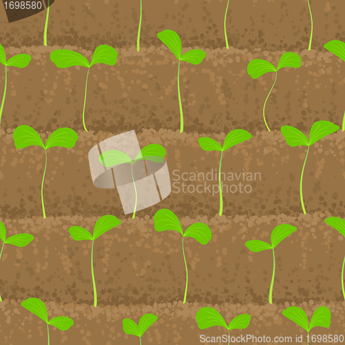 Image of sprout, shoot vegetable patches in row seamless