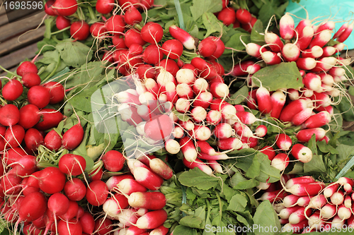 Image of bundles of red and white radishes at market