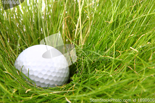 Image of golf ball in the green grass