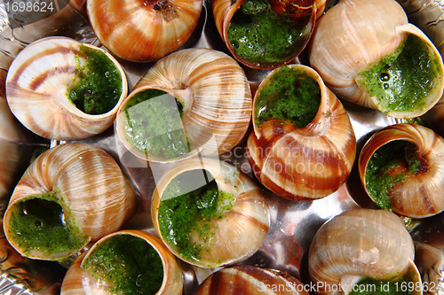 Image of snails with herb butter