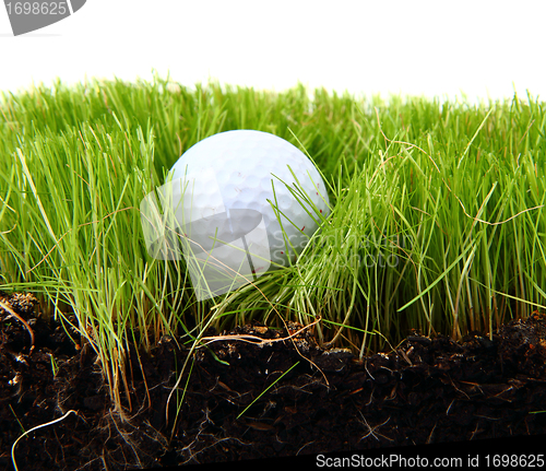 Image of golf ball in the green grass