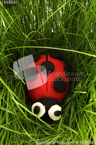 Image of ladybird from plasticine