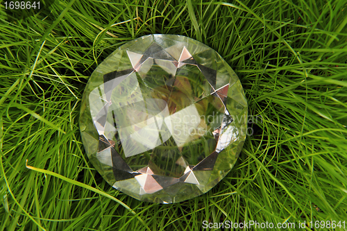 Image of diomand in the grass