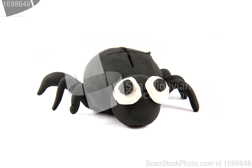 Image of black spider from the plasticine