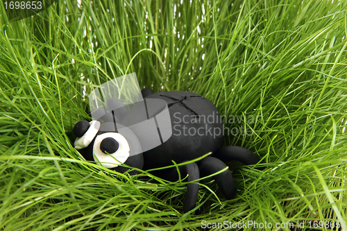 Image of black spider from the plasticine 