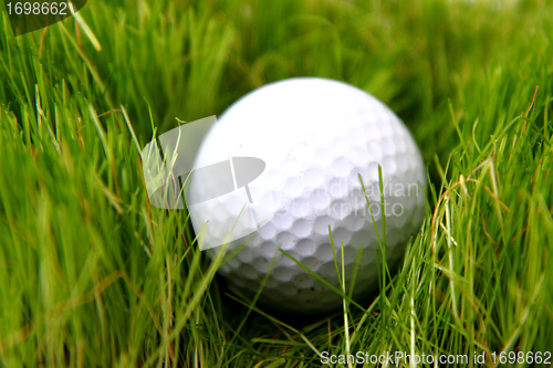 Image of golf ball in the green grass