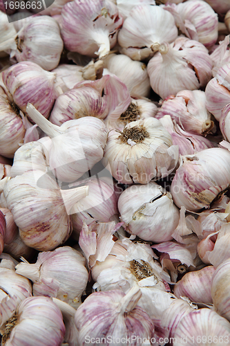 Image of garlic background