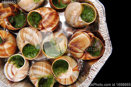 Image of snails with herb butter