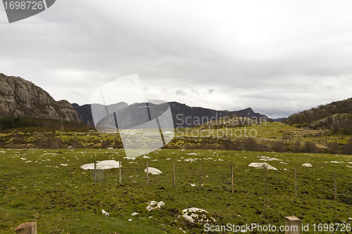 Image of rural grasslands in norway