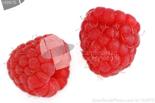 Image of two red raspberries