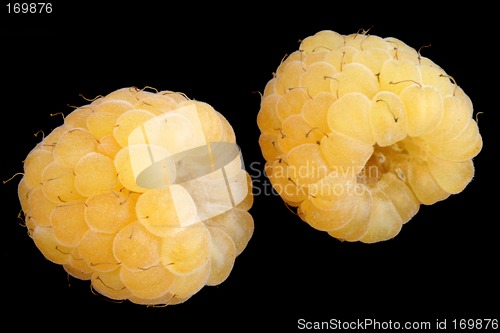 Image of two yellow raspberries