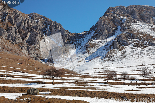 Image of Trascau Mountains