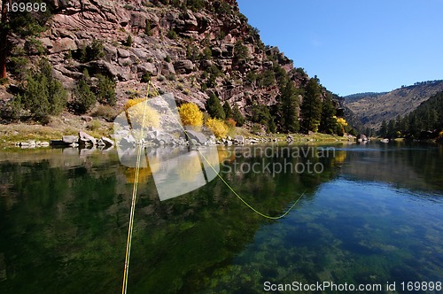 Image of Fly fishing