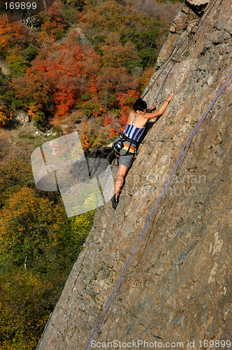 Image of Rock climber