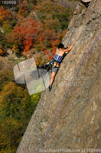 Image of Rock climber