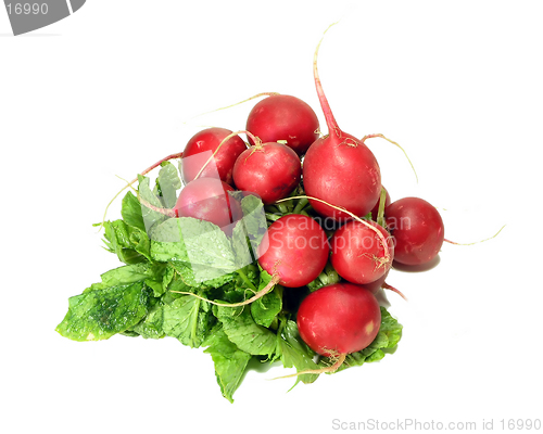 Image of Red Radishes