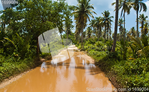 Image of Road to Playa Rincon Puddle