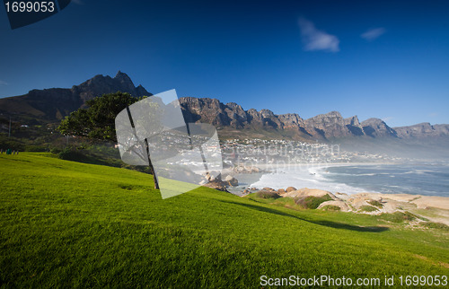 Image of Grass and Blue Sky