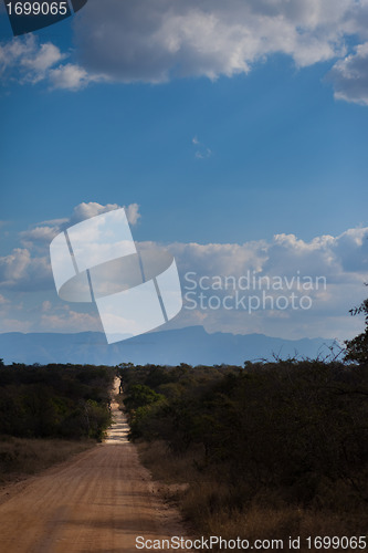 Image of Clear savannah road